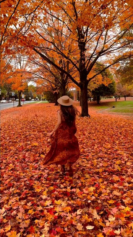 Roopsi Bansal from behind in a rust printed dress and hat, walking through a park in Princeton, NJ completely carpeted in fallen orange leaves