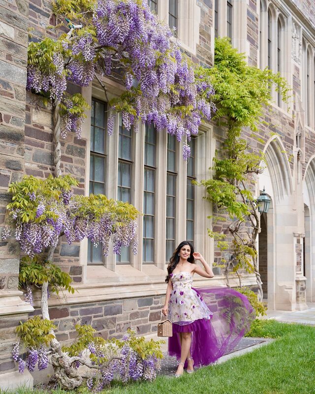 Roopsi Bansal in a floral tulle dress standing beneath cascading purple wisteria draping down a stone building at Princeton