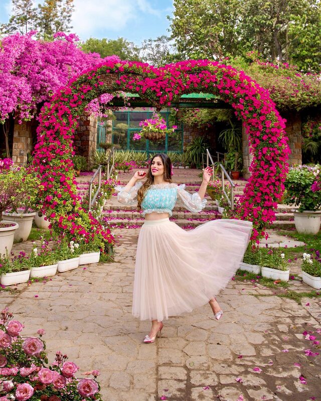 Roopsi Bansal twirling in a pale blue daisy-print crop top and a blush tulle skirt under a magenta bougainvillea archway at Lodhi Garden, Delhi