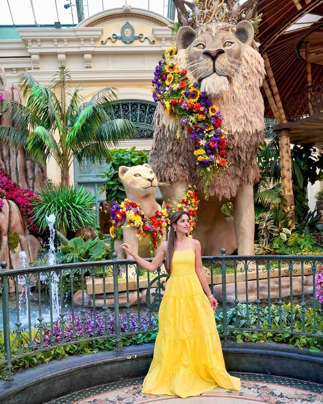 Roopsi Bansal in a yellow tiered maxi dress in front of flower-draped lion sculptures at the Bellagio Conservatory jungle theme display in Las Vegas
