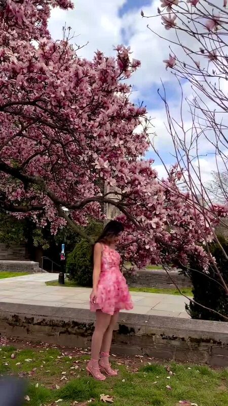 Roopsi Bansal in a pink floral applique mini dress standing beside a blooming pink magnolia tree