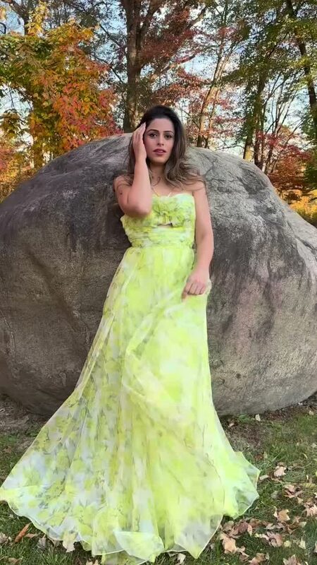Roopsi Bansal in a chiffon dress from Alizeal Store