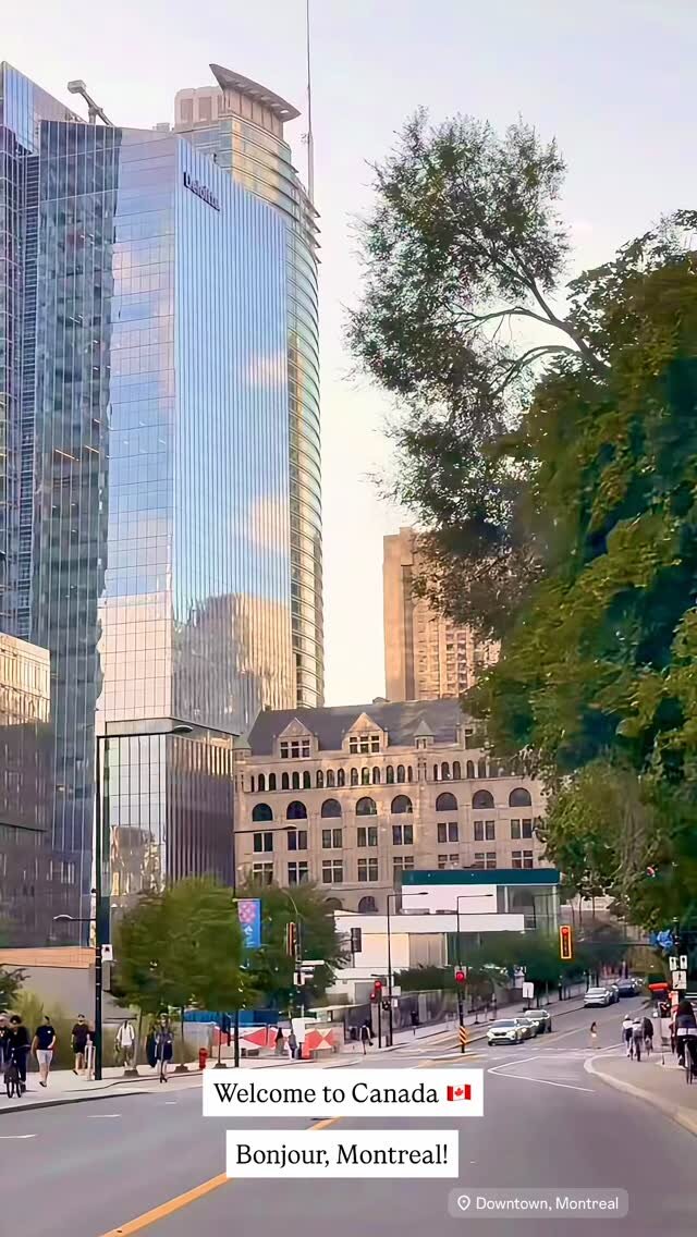 A downtown Montreal street lined with glass skyscrapers and trees at golden hour