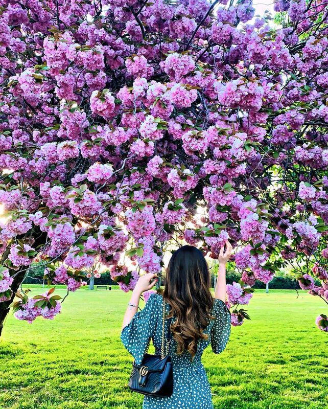 Standing beneath a massive cherry blossom tree in a park, reaching up to touch the low-hanging pink blossoms, wearing a green floral dress and a black Gucci Marmont bag