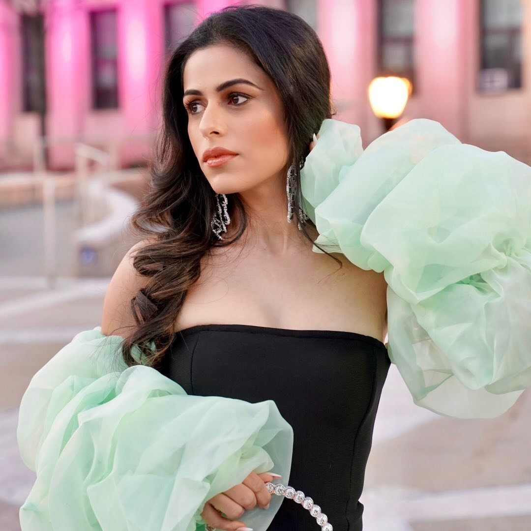 Roopsi Bansal Portrait